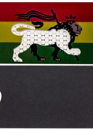 Colored Stainless Steel Herb Grater | Rasta Lion
