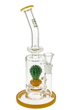 Glasscity Limited Edition Straight Bong with Showerhead Cactus Perc