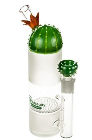 Glasscity Limited Edition Straight Cactus Bong with HoneyComb Perc